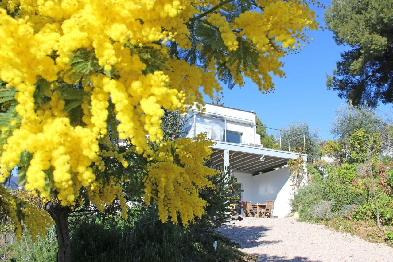 Apartmán 456 Chemin De La Pinede Menton Exteriér fotografie